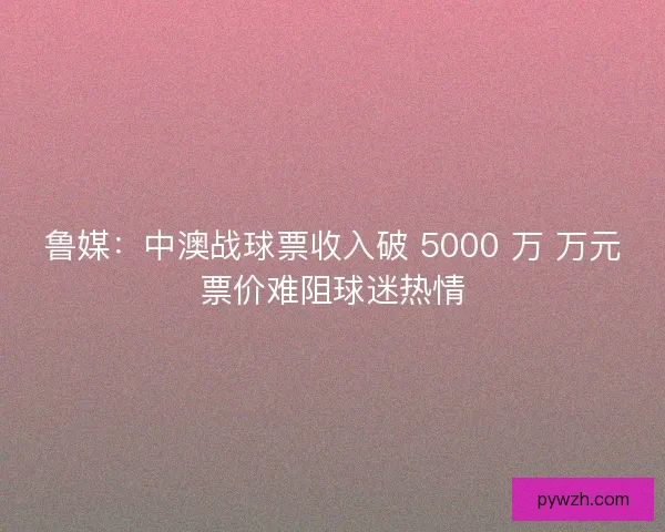 鲁媒：中澳战球票收入破 5000 万 万元票价难阻球迷热情