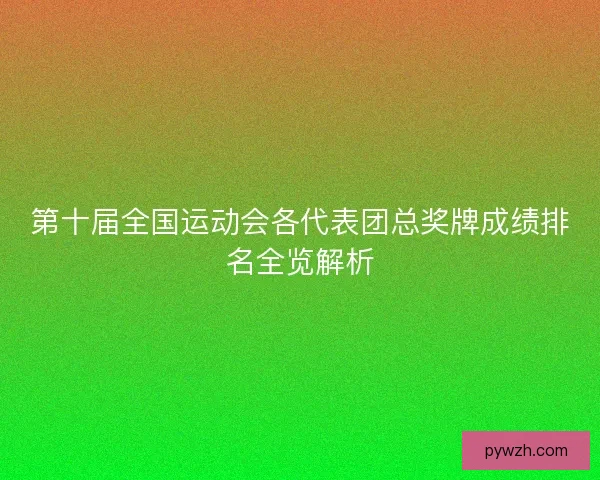 第十届全国运动会各代表团总奖牌成绩排名全览解析