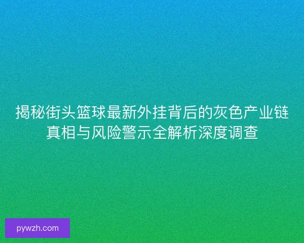 揭秘街头篮球最新外挂背后的灰色产业链真相与风险警示全解析深度调查