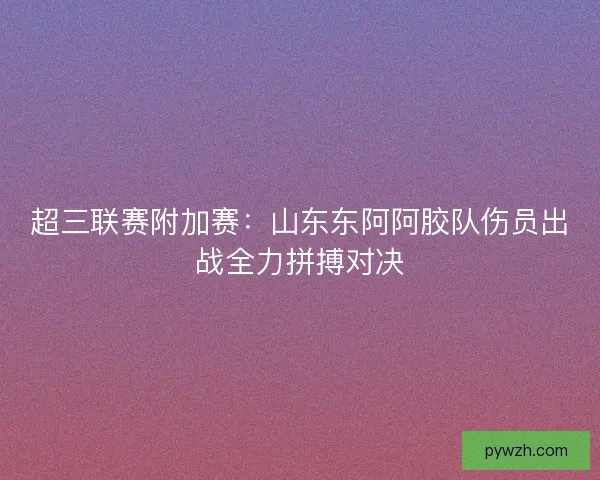 超三联赛附加赛：山东东阿阿胶队伤员出战全力拼搏对决